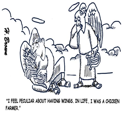 "I feel peculiar about having wings. In life, I was a chicken farmer."