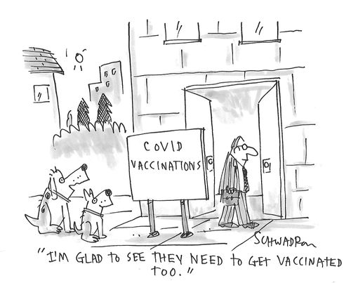 "I'm glad to see they need to get vaccinated too."