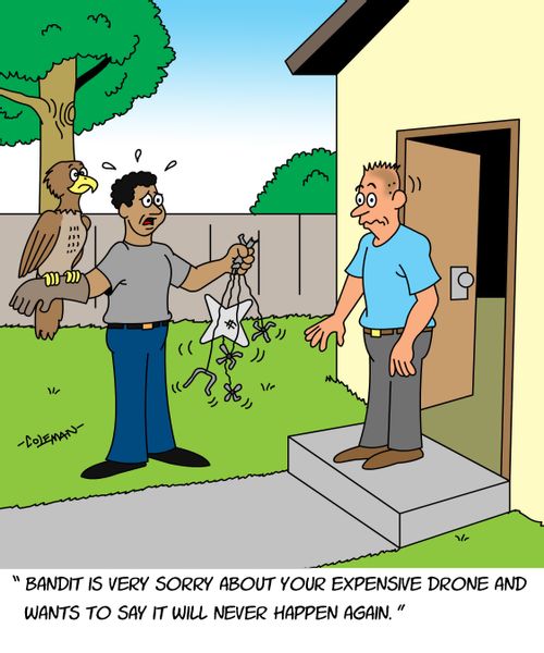 "Bandit is very sorry about your expensive drone and wants to say it will never happen again."