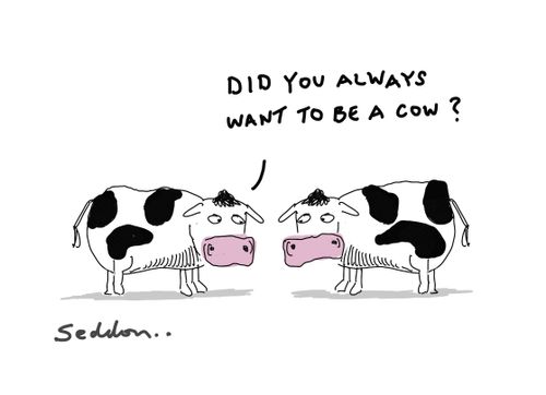 "Did you always want to be a cow?"