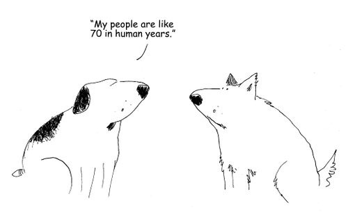 "my people are like 70 in human years." 