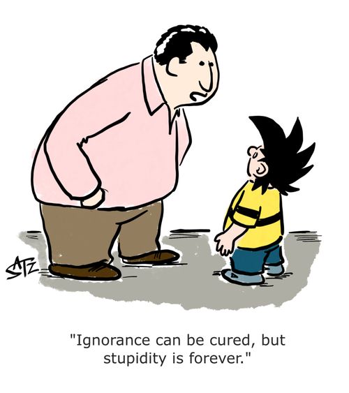 "Ignorance can be cured, but stupidity is forever."