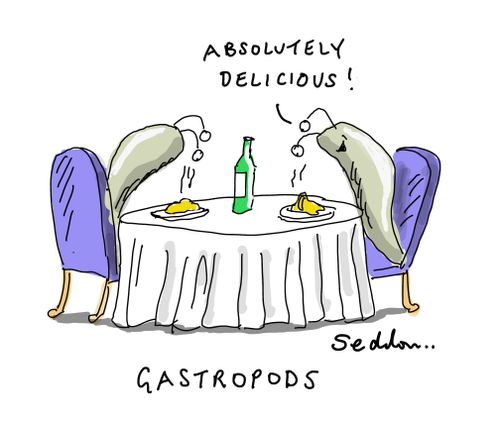 Gastropods