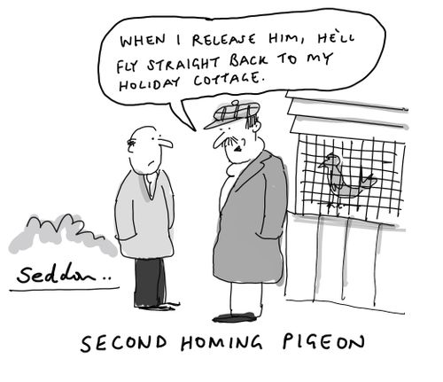 Second homing pigeon