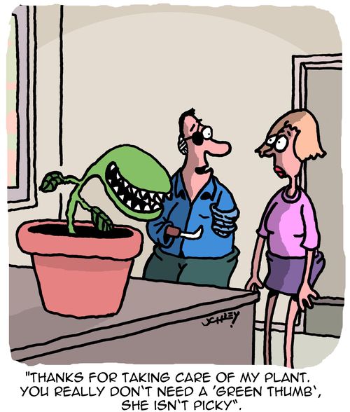 "Thanks for taking care of my plant. You really don't need a 'green thumb', she isn't picky."