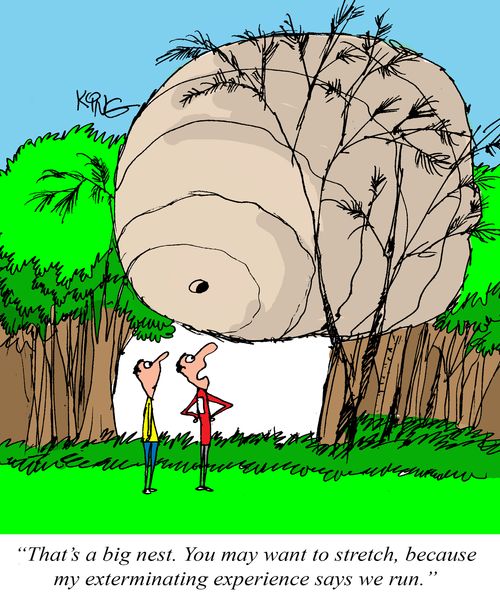 "That's a big nest. You may want to stretch, because my exterminating experience says we run."