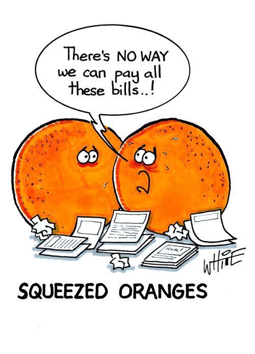 squeezed oranges...