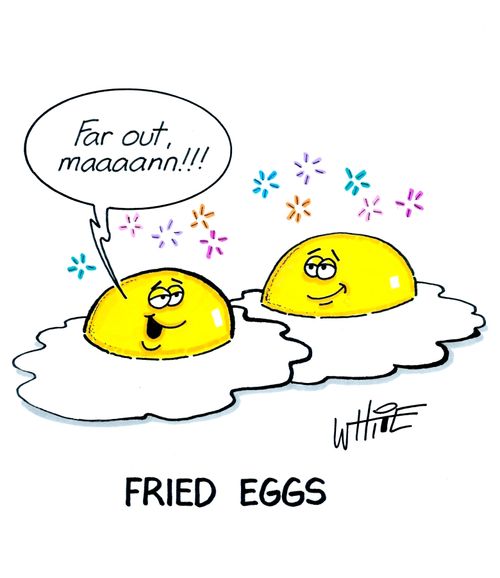 fried eggs...
