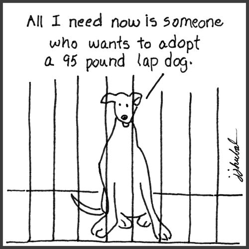 "All I need now is someone who wants to adopt a 95 pound lap dog."
