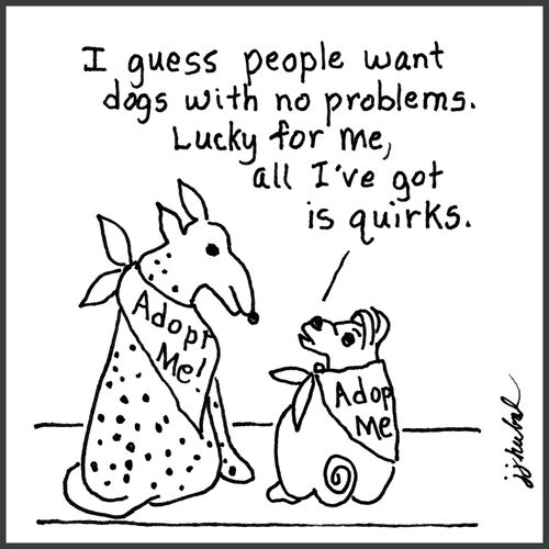 "I guess people want dogs with no problems. Lucky for me, all I've got is quirks."