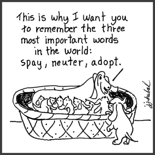 "This is why I want you to remember the three most important words in the world: spay, neuter, adopt."