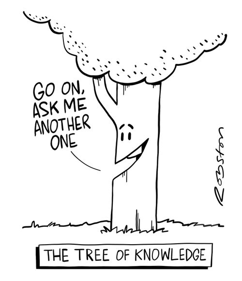 The Tree of Knowledge