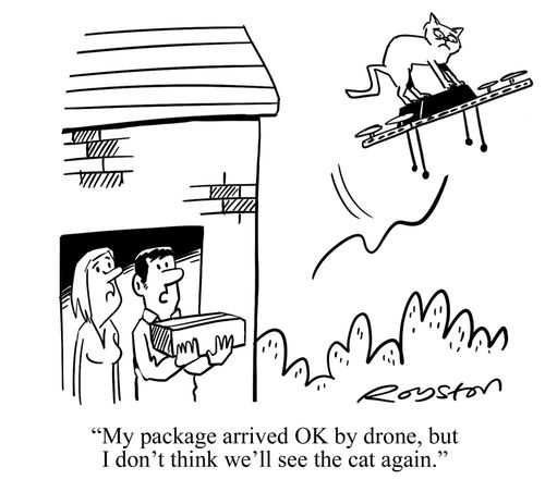 "My package arrived Ok by drone, but I don't think we'll see the cat again."