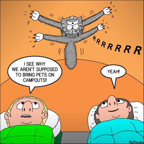 "I see why we aren't supposed to bring pets on campouts!"