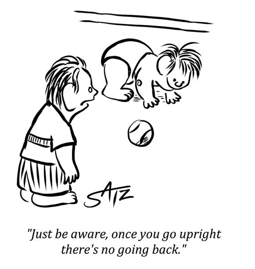 "Just be aware, once you go upright there's no going back."