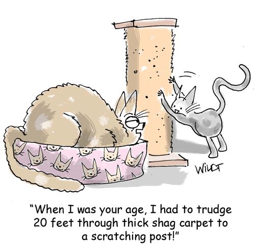 "When I was your age, I had to trudge 20 feet through thick shag carpet to a scratching post!"