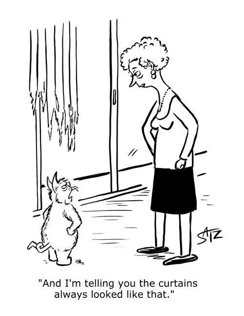 "And I'm telling you the curtains always looked like that."