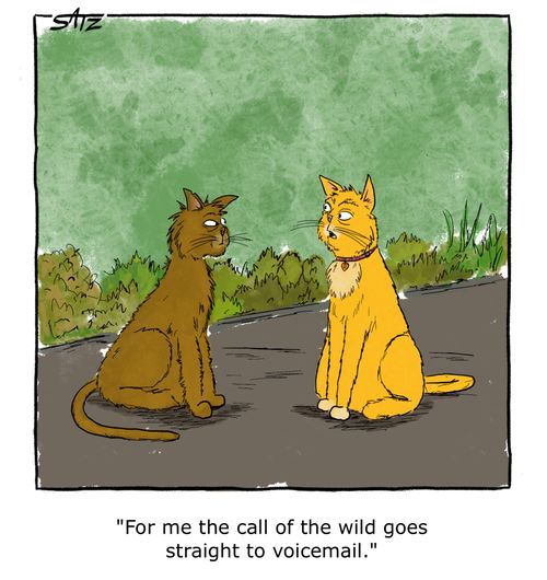 "For me the call of the wild goes straight to voicemail."