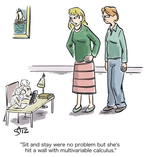"Sit and stay were no problem but she's hit a wall with multivariable calculus.'