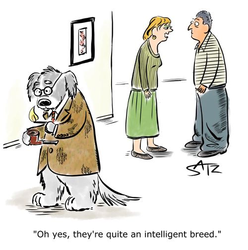 "Oh yes, they're quite an intelligent breed."