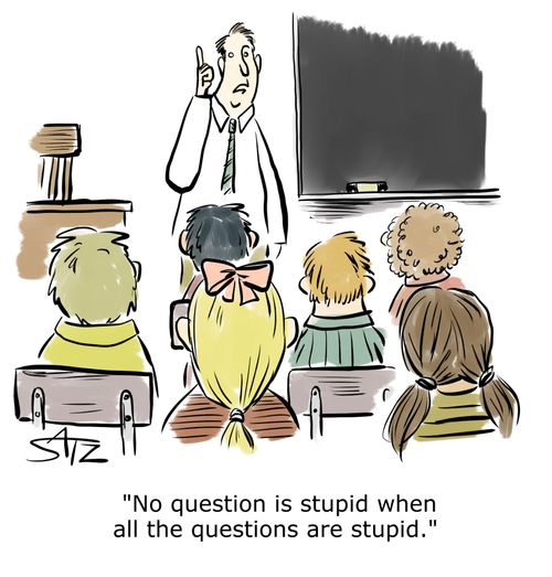 "No question is stupid when all the questions are stupid."