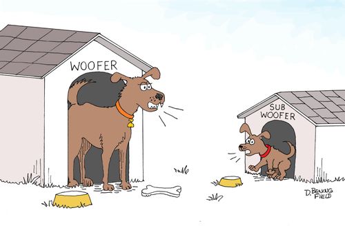 Woofer - subwoofer.