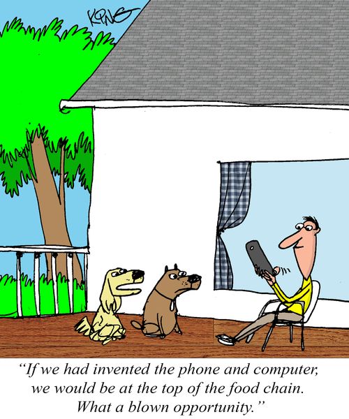 "If we had invented the phone and computer, we would be at the top of the food chain. What a blown opportunity."