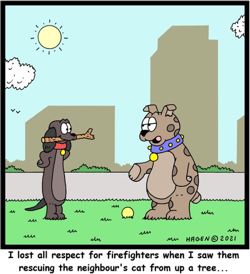 "I lost all respect for firefighters when I saw them rescuing the neighbour's cat from up a tree..."
