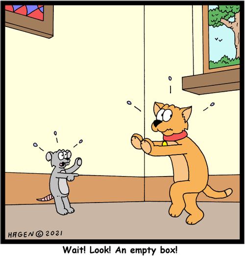 "Wait! Look! An empty box!"
