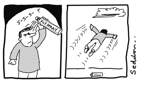 Fly spray