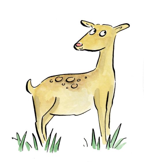 Doe