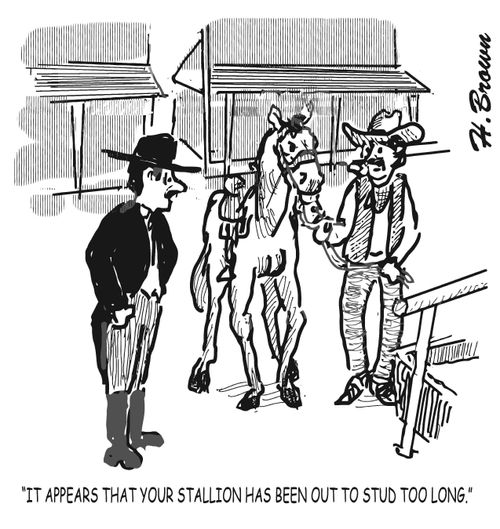 "It appears that your stallion has been out to stud too long."
