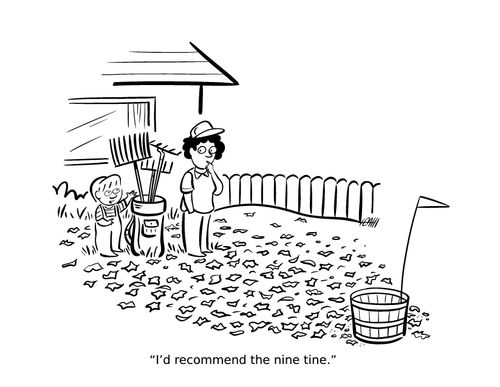 "I'd recommend the nine-tine."