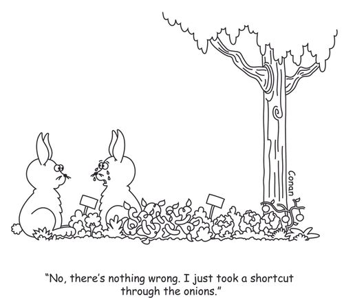 "No, there's nothing wrong. I just took a shortcut through the onions."