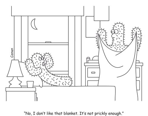 "No, I don't like that blanket. It's not prickly enough."