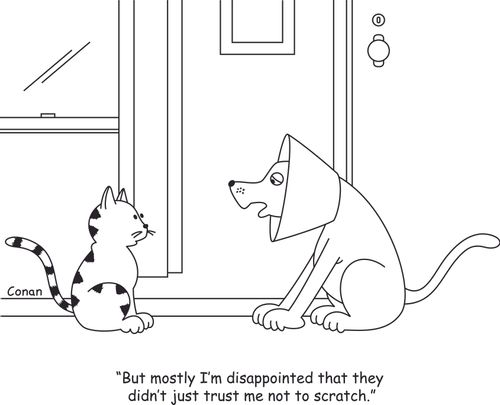 "But mostly I'm disappointed that they didn't just trust me not to scratch."