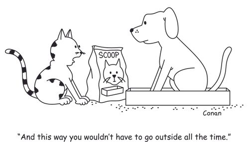 "And this way you wouldn't have to go outside all the time."