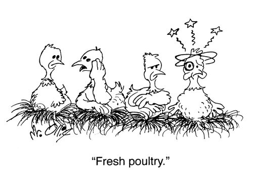 "Fresh poultry."
