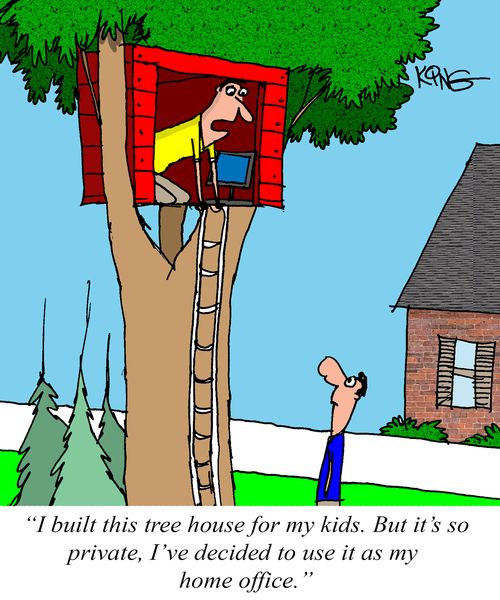 "I built this tree house for my kids. But it's so private, I've decided to use it as my home office."