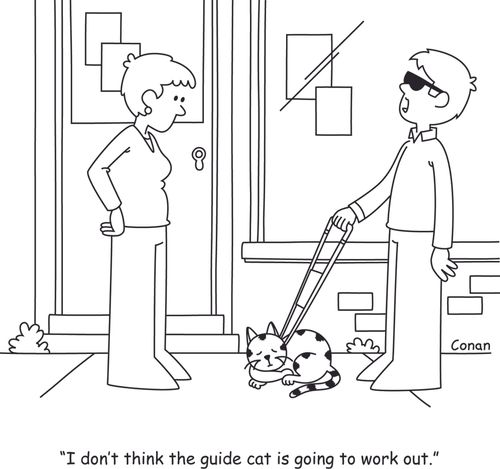 "I don't think the guide cat is going to work out."