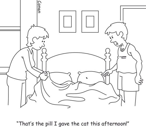 "That's the pill I gave the cat this afternoon!"