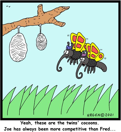 "Yeah, these are the twins' cocoons. Joe has always been more competitive than Fred..."