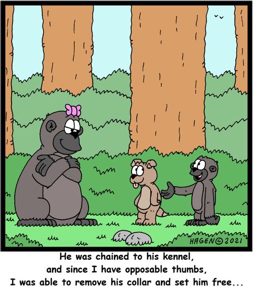 "He was chained to his kennel, and since I have opposable thumbs, I was able to remove his collar and set him free..."