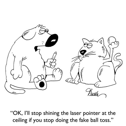 "OK, I'll stop shining the laser pointer at the ceiling if you stop doing the fake ball toss."