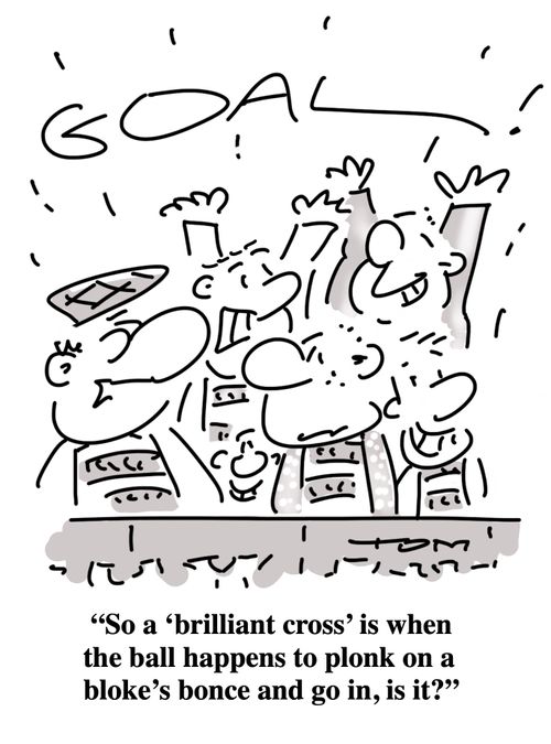 "So a 'brilliant cross' is when the ball happens to plonk on a bloke's bonce and go in, is it?"
