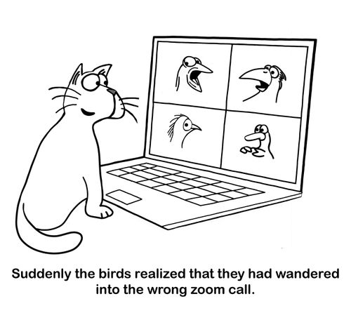 Suddenly the birds realized that they had wandered into the wrong zoom call.