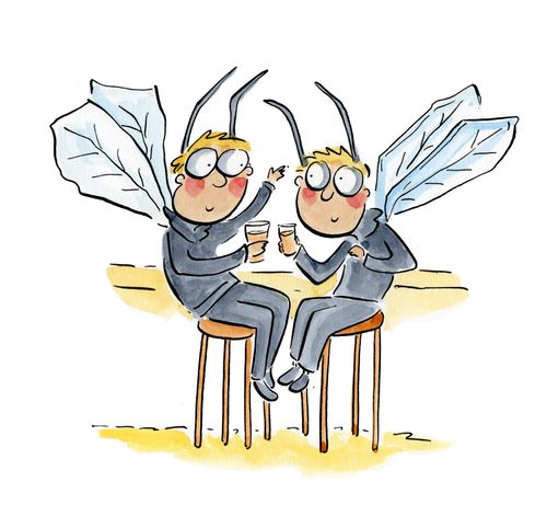 Bar flies