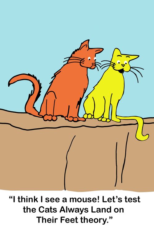 "I think I see a mouse! Let's test the Cats Always Land on Their Feet theory."