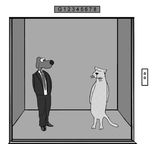 A cat and a dog are embarrassed to find themselves on an elevator together.