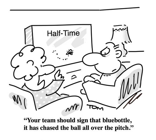 "Your team should sign that bluebottle, it has chased the ball all over the pitch."